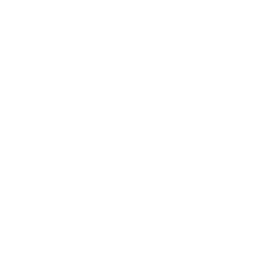 d'Oude BRINK